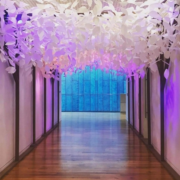 Meet your Posher, Erin - Picture 3 of 4